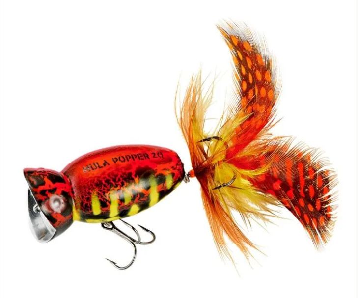 Arbogast Hula Popper 2.0  Coach Hog