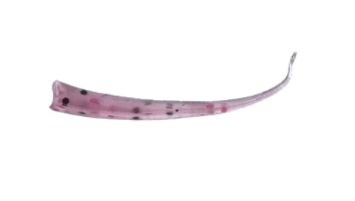 ADK Wedge Tail Pink