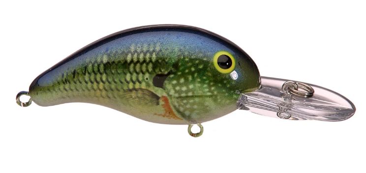 Bandit 200 CR Bluegill