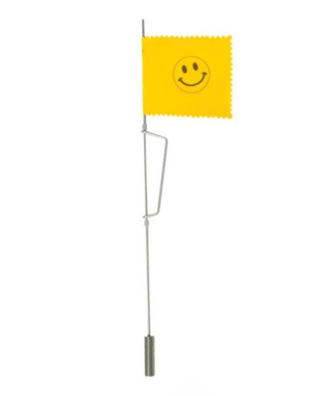 Beaver Dam Tip Up Flag Smiley