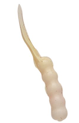 Finesse Tails Sz 10 Glow Brite