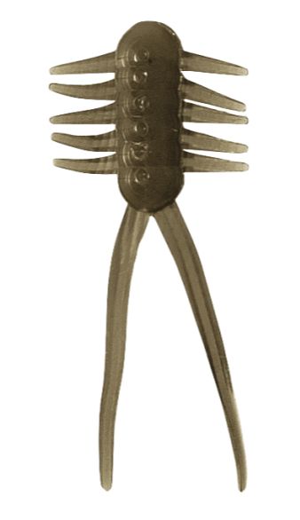 Clam Jamei 1 1/8" Motor Oil