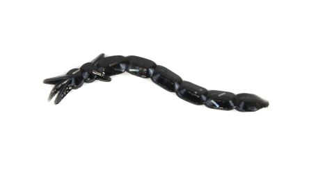 Clam Bloodi Leech Silver Flake