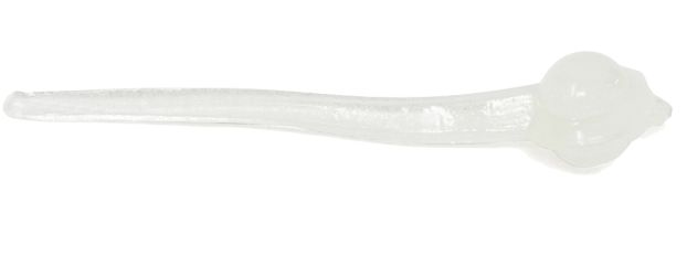 Clam Polli 7/8" Luminscent