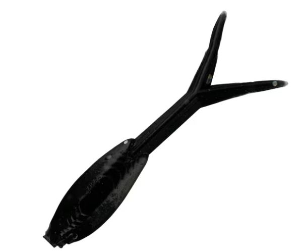 Clam Mino 1" Fathead