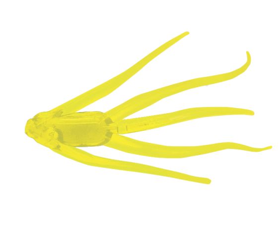 Clam Maki 1 1/4" Chartreuse Glow