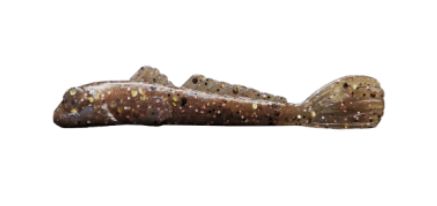 Grumpy Goby Mini Goby 2.25” Copperback