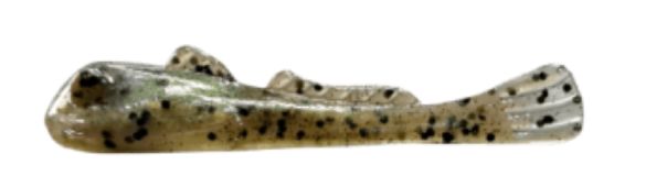 Grumpy Goby Round Goby 2.6” Lake Simcoe Goby