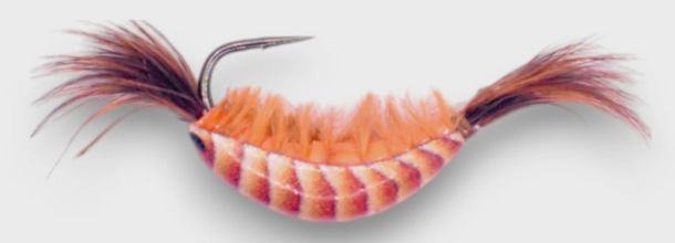 Kenders Tungsten Natural Shrimp #12 Brown