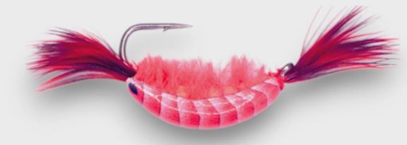Kenders Tungsten Natural Shrimp #8 Red