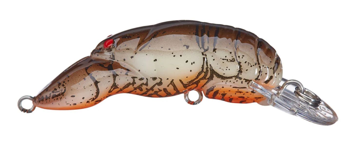 Rebel Middle Wee Crawfish Ditch Brown