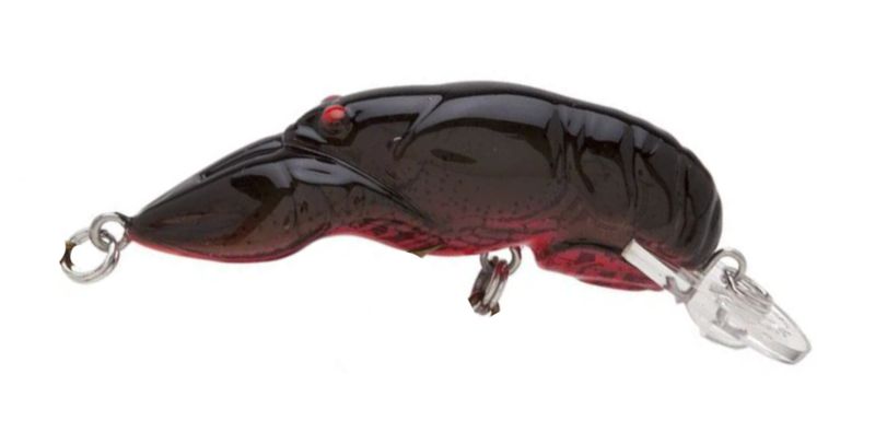 Rebel Wee Crawfish Texas Red