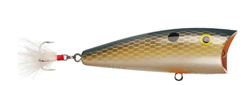 Rebel Pop-R Foxy Shad