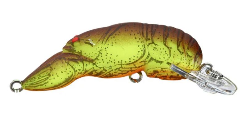 Rebel Wee Crawfish Chartreuse Back Brown
