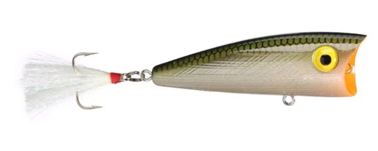 Rebel Pop-R Tenn Shad