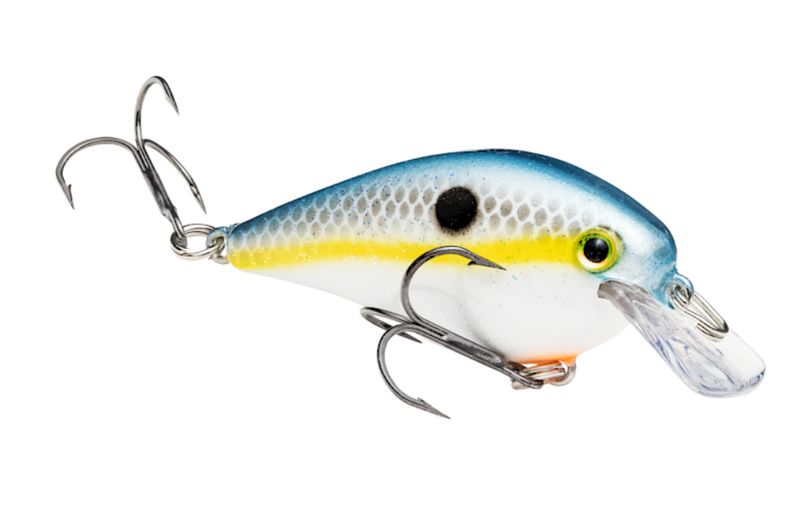 Strike King KVD Square Bill 1.0 Sexy Shad