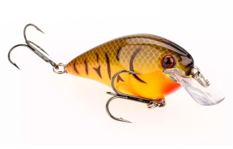 Strike King KVD Square Bill 1.0 Orange Craw