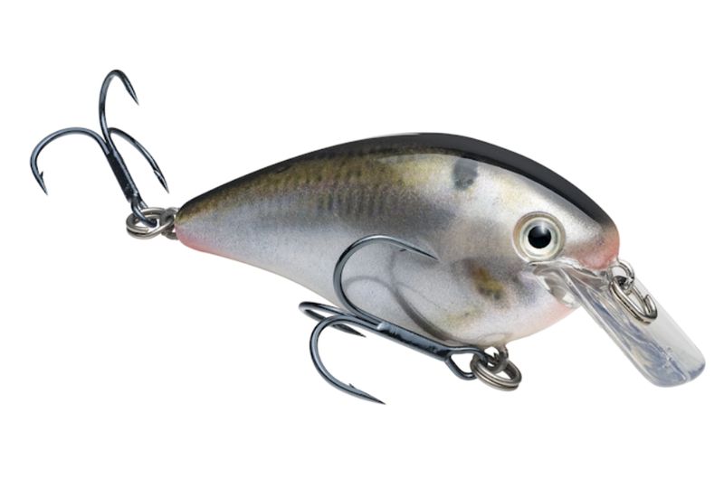 Strike King KVD Square Bill 1.5D Natural Shad