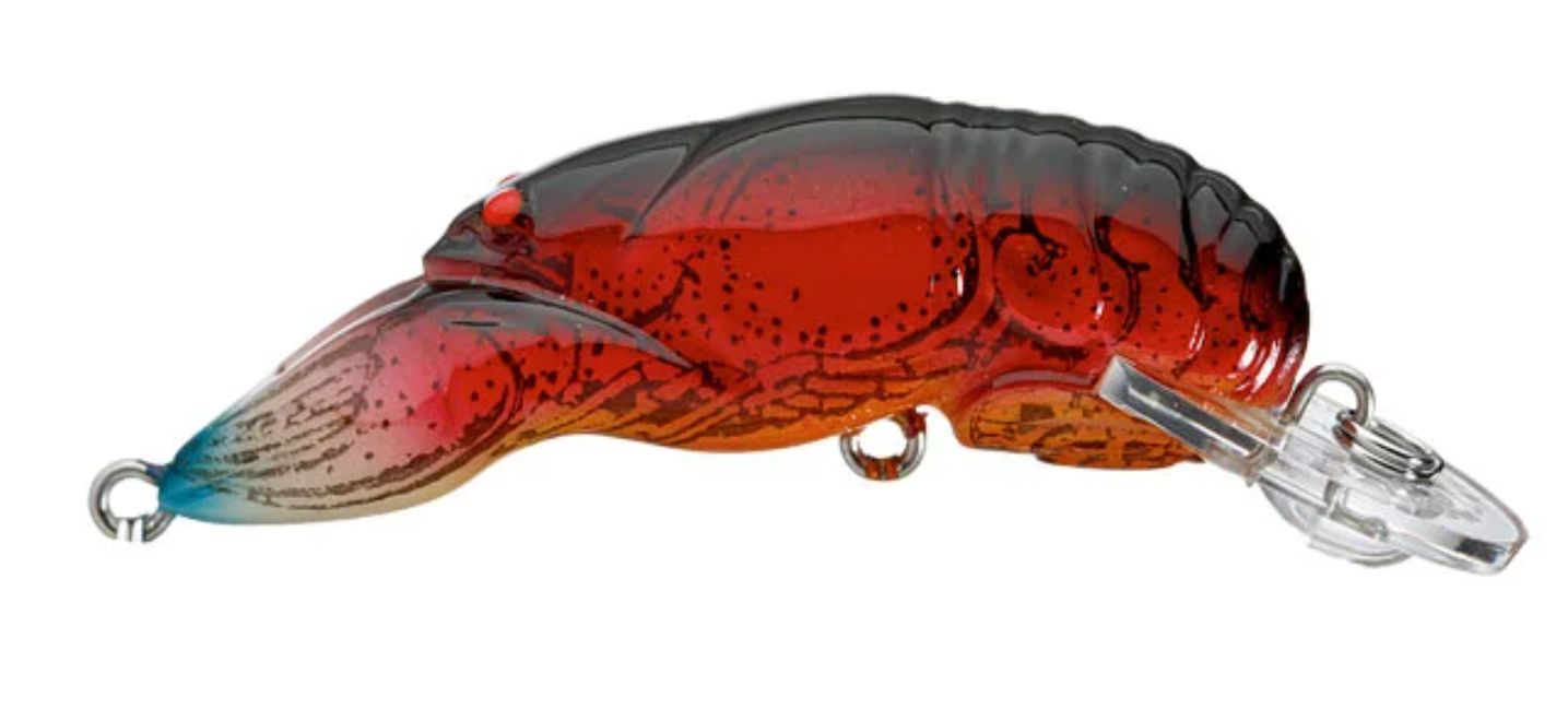 Rebel Wee Crawfish Nest Robber