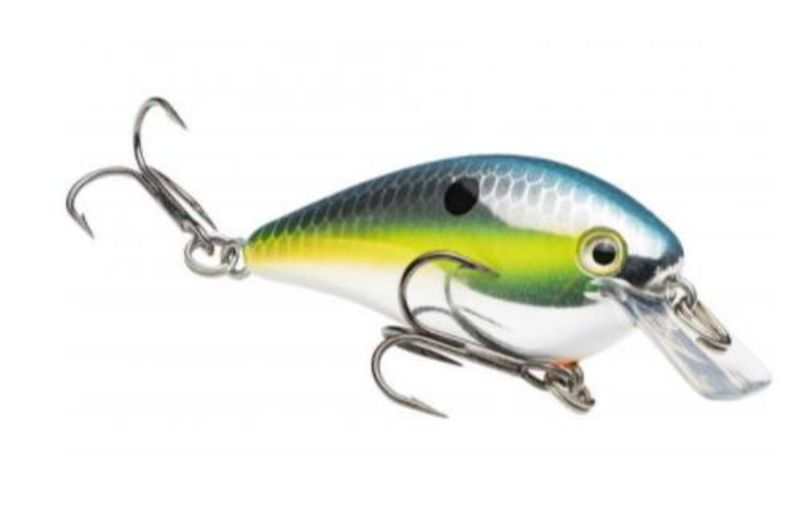Strike King KVD Square Bill 1.0 Chrome Sexy Shad