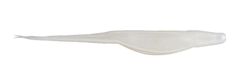 Zoom Salty Super Fluke White Pearl
