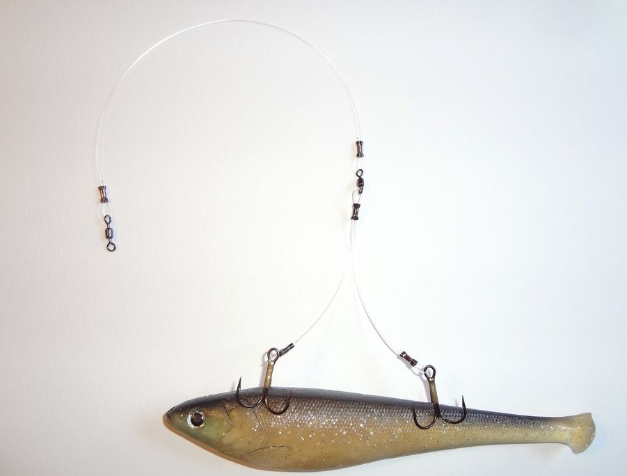 Z-Leaders Fluorocarbon Bleeding Quick Strike /Smelt 40# 4#