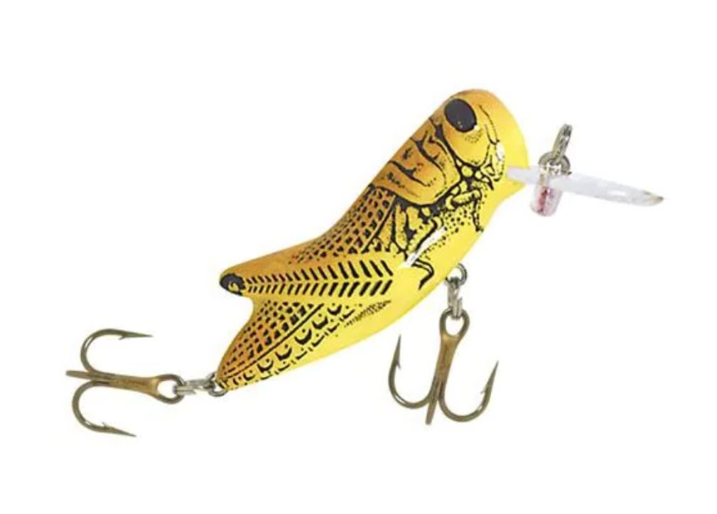 Rebel Crickhopper Yellow Grasshopper
