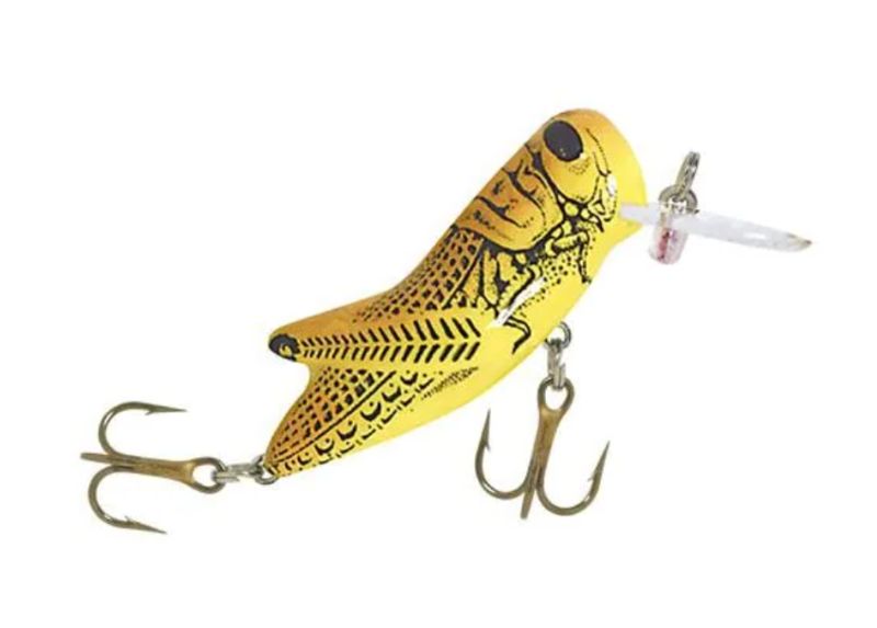 Rebel Crickhopper Yellow Grasshopper