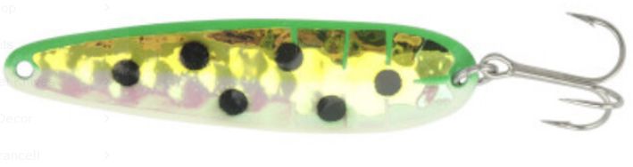 Moonshine Magnum RV Mongolian Beef