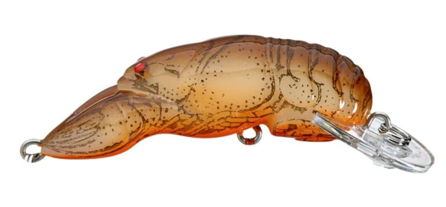 Rebel Wee Crawfish Ditch Brown