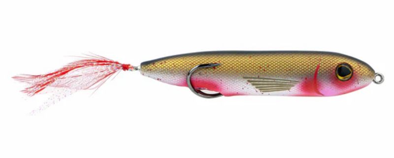 Snagproof Zoo Pup Bloody Shad