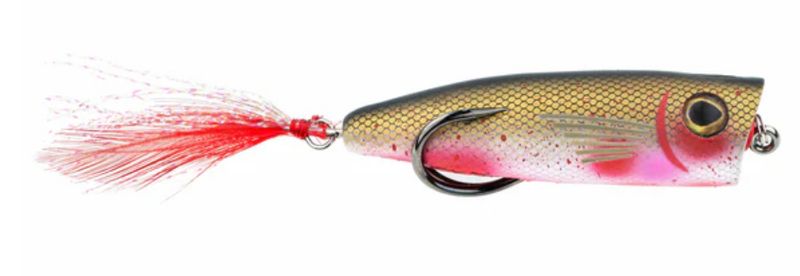 Snagproof Zoo Pop Bloody Shad