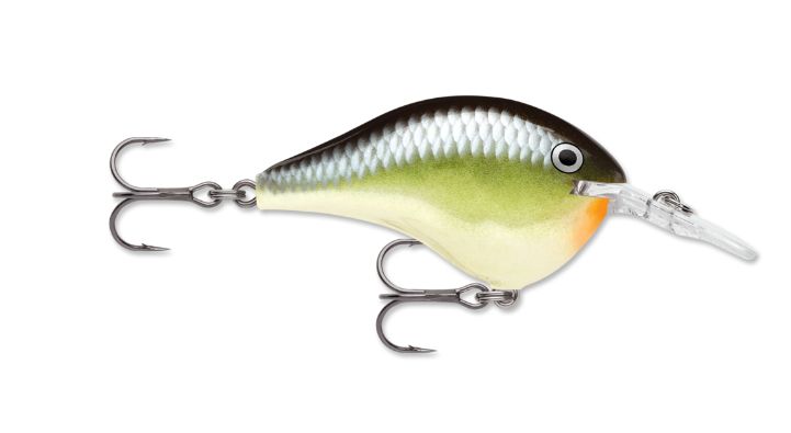 Rapala DT 6 Smash