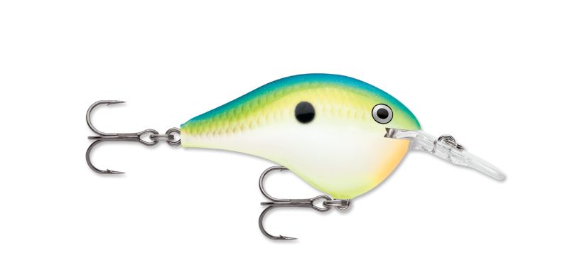 Rapala DT 6 Citrus Shad
