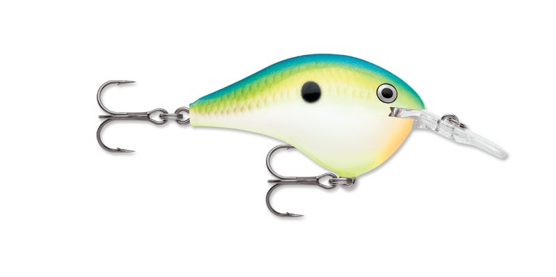 Rapala DT 8 Citrus Shad
