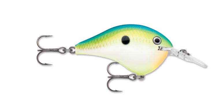 Rapala DT 10 Citrus Shad