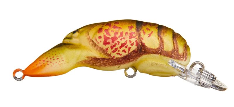 Rebel Middle Wee Crawfish Winter Craw