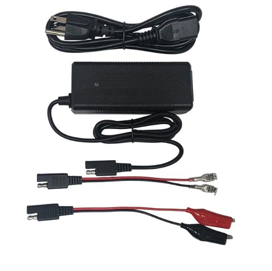 Amped Outdoors LifePO Lithium 3A Battery Charger