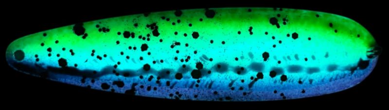 Beaver's Lures Standard Northern Lights