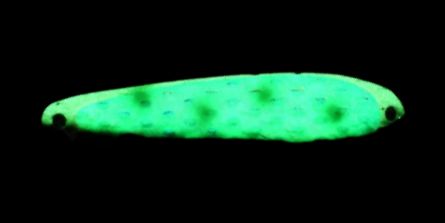 Yeck Y66 Glow Green Alewife