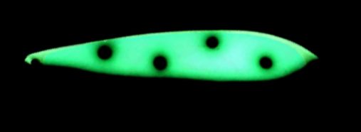 Yeck Y88 Glow Green Alewife