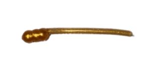 BY Baits Bloodworm Gold Pearl