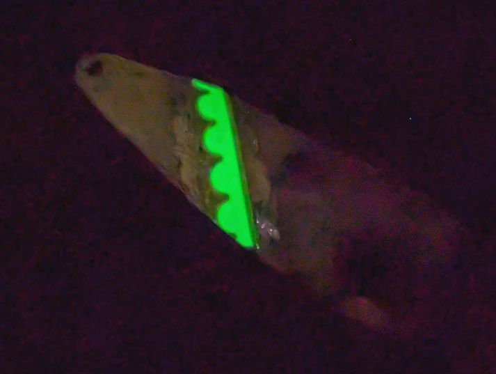 TNT Lures Magnum Lemon Pound Cake