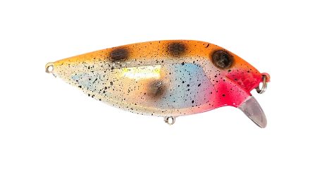 Doc's Baby Fins Orange Goby