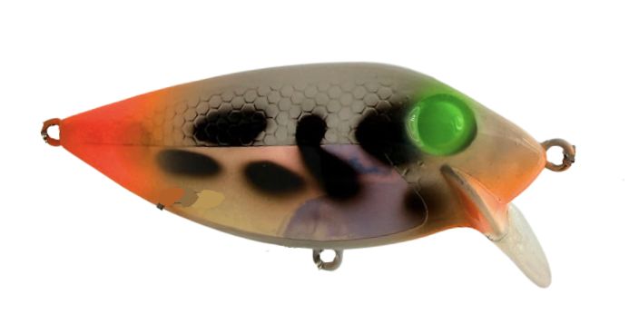 Doc's Baby Fins Firetail Dalmatian