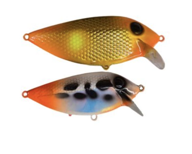 Doc's Baby Fins Firetail Dalmatian