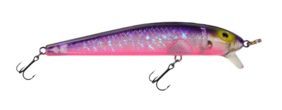 Dreamweaver Bay Rat S3 Purple Wish