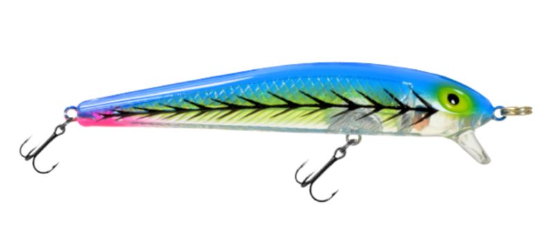 Dreamweaver Bay Rat S3 Blue Tiger