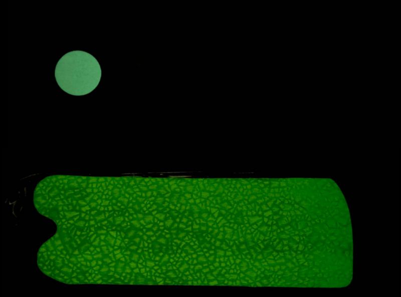 Screamin' Drags 8" Flasher Green Goby