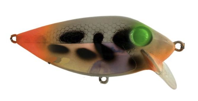 Doc's Thin Fin Firetail Dalmatian